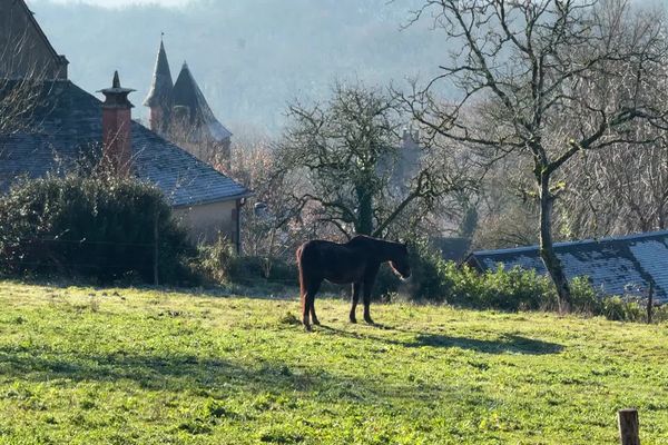 Entre nature et patrimoine, la Corrèze séduit même en hiver.