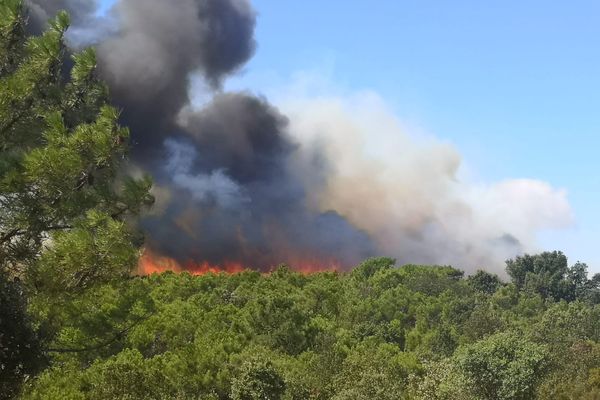 Aude - L'incendie à Bizanet mobilise près de 350 pompiers - 17 août 2021