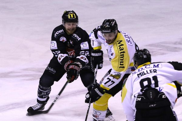 Le Gothiques ont perdu contre Rouen 1-2 au Coliseum d'Amiens (20 janvier 2017)