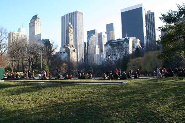 Bienfaits des espaces verts en milieu urbain