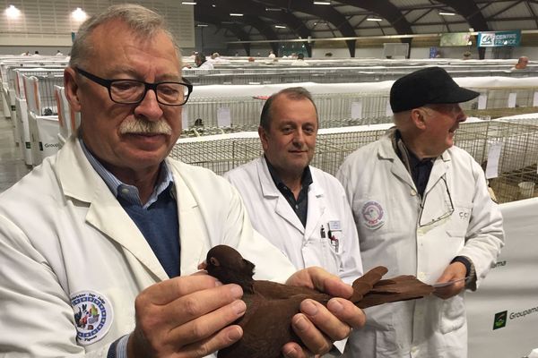 Du 1er au 3 novembre, une basse-cour géante se tient à Avermes, près de Moulins, dans l’Allier. 