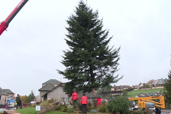 Le sapin est installé au giratoire de Malemort, en Corrèze.