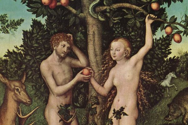 "Adam et Eve", de Lucas Cranach l’Ancien, huile sur toile, 1526. Courtauld Institute Galleries, Londres.