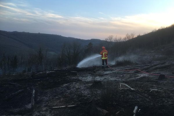 Malgré l'intervention d'une cinquantaine de pompiers, six hectares de forêt ont brûlé sur la commune de Lacaze dans le Tarn.