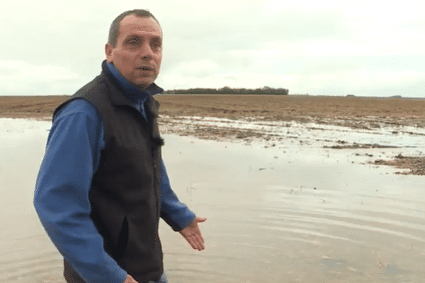 Agriculteur-céréalier basé à Plaine-d'Argenson (Deux-Sèvres), Benoît Vignaud vient de perdre une partie de ses blés semés il y a une quinzaine de jours.