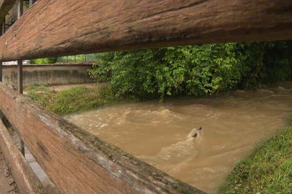 Les orages du mardi 25 juin n'ont pas fait de victimes, mais d'importants dégâts sont encore visibles dans le sud-ouest du département.