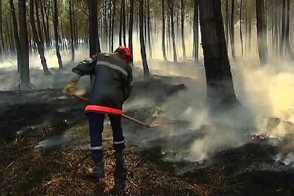 Près de 200 pompiers mobilisés pour venir à bout du sinistre