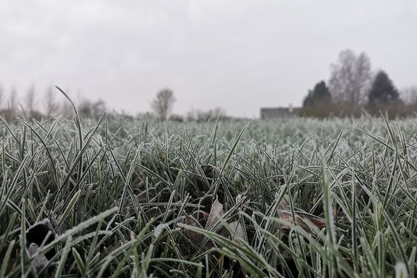 Météo France a placé les cinq départements des Hauts de France en vigilance orange pour neige et verglas pour la journée du samedi 16 janvier 2020 jusqu'au dimanche 17 janvier à 6 heures.