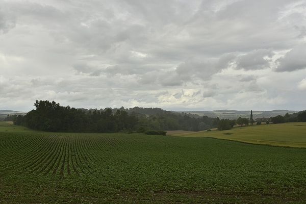 La pluie au rendez-vous...