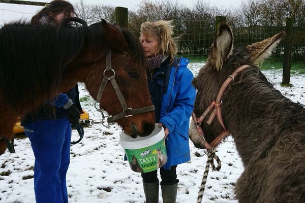 Une cinquantaine d'animaux sauvés en Mayenne par la fondation Brigitte Bardot