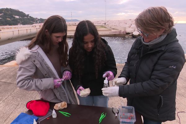 Sandrine Treyvaud forme des bénévoles, replante du corail sur la planète et sensibilise aussi les collégiens à l'importance de l'écologie et la préservation des ecosystèmes sous-marins.