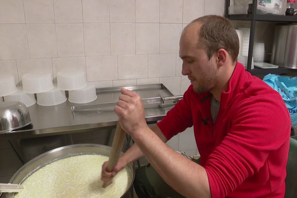 Jordan Leduc, berger originaire de Corte, participera à la foire de Venaco pour la cinquième fois le week-end prochain.