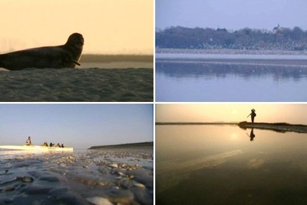 Mosaïque d'images de la Baie de Somme.