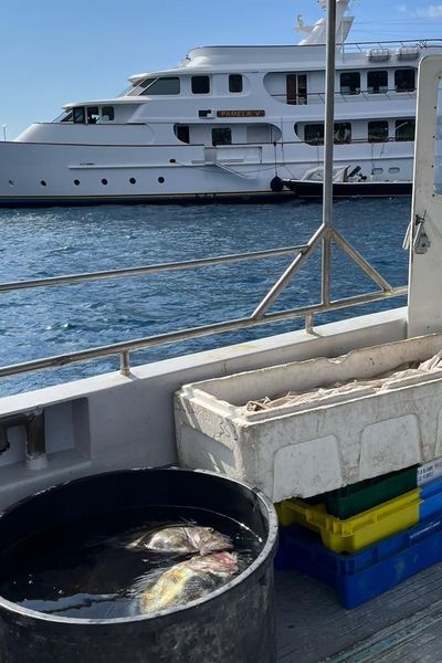 La proximité avec les yachts au mouillage rend difficile la pêche pour le dernier professionnel de la baie de Saint-Jean-Cap-Ferrat.