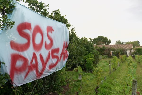 C'est ici, sur le plateau de Noès à Pessac, que l'opérateur Bouygues Télécom compte installer une de ses antennes 5G.