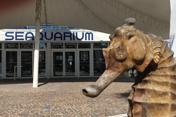 Le Seaquarium au Grau-du-Roi (Gard) est fermé depuis deux mois et demi