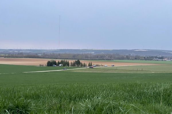 C'est dans ce bosquet que s'est déroulé le drame, non loin de Loisy-sur-Marne.