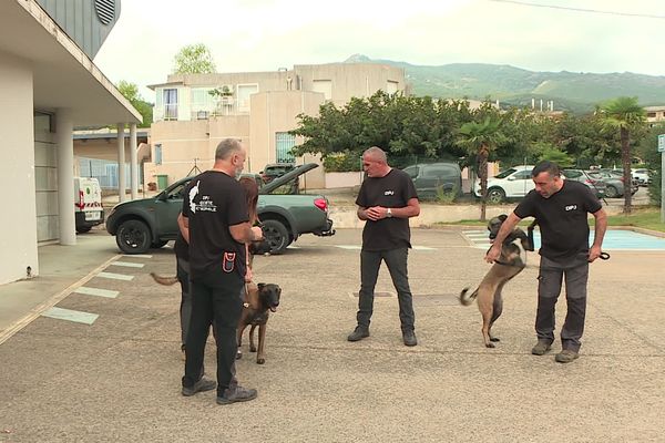 L'équipe de détection des punaises de lit s'apprête à débuter une cession d'entraînement.