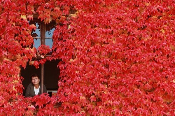 Point de vue image du monde, une femme à sa fenêtre en automne,