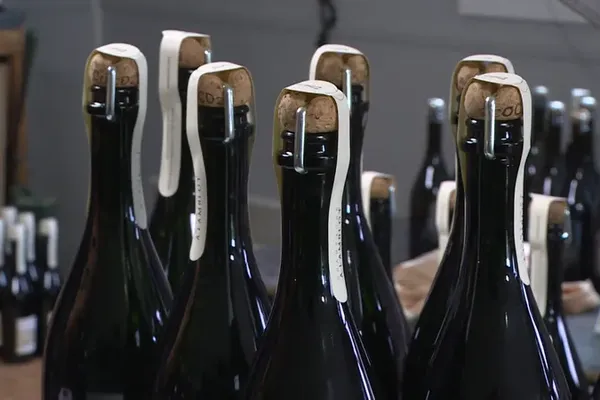 Des bouteilles de champagne habillées avec des bandelettes de papier recyclé