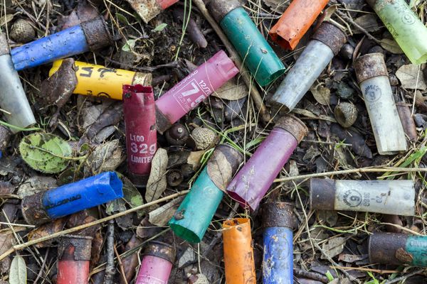 Collectes, recyclage... Que faire des douilles de chasse ou de tir vides ou usagées  ?