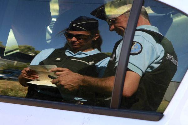 Les chiens ont été abandonné plusieurs heures dans une voiture en plein soleil à Ugine. Photo d'illustration.