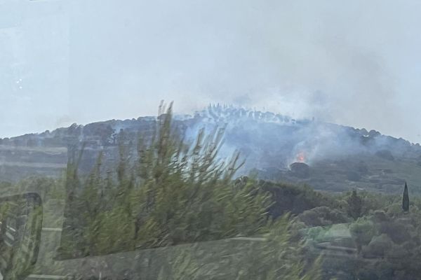 Un incendie a éclaté dans l'Hérault sur la commune de Poussan. Plusieurs hectares de garrigue ont été parcourus par les flammes.