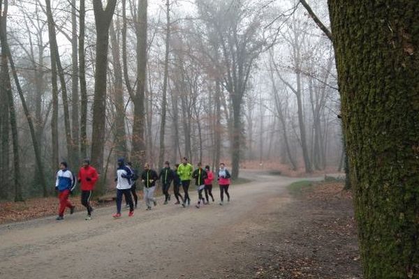 Les marathoniens du 1er janvier dans le Bois de la Bastide à Limoges