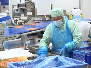 L'activité est soutenue de juillet à décembre dans les ateliers de Labeyrie, à Saint-Geours-de-Maremne (40).