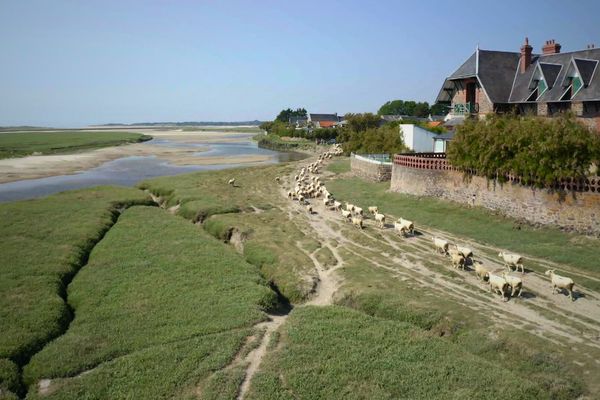 La troisième circonscription de la Manche est un territoire est avant tout un territoire rural. Coutances, la sous-préfecture, en est la principale ville.