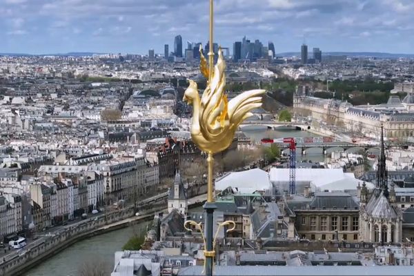 Le coq de Notre-Dame de Paris en haut de la flèche de la cathédrale