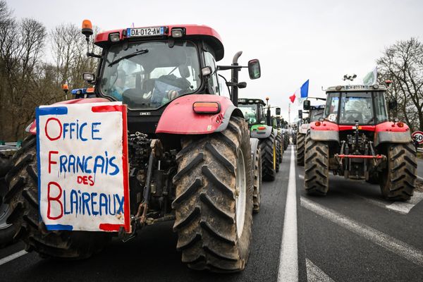 Dans les manifestations agricoles, plusieurs slogans hostiles à l'OFB.