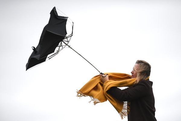 De fortes rafales de vent sont attendues dans le Nord Franche-Comté pendant la nuit du dimanche au lundi 21 février.