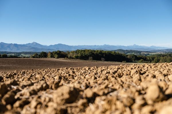 L'aridité va gagner du terrain en Espagne d'ici 2050. Une étude table sur un passage d'un climat méditerranéen typique à un climat de steppe froid sur une bonne partie de l'Espagne sous l'effet du réchauffement climatique.