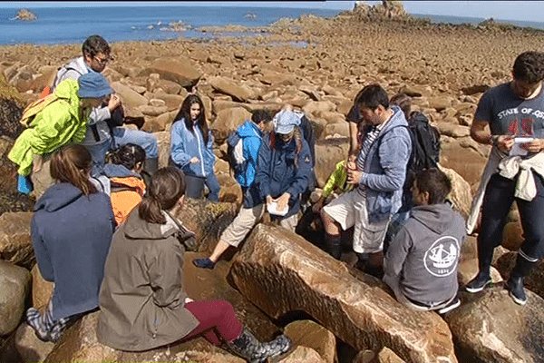 Les étudiants de la station biologique de Roscoff étudient la faune et la flore littoral pendant les grandes marées