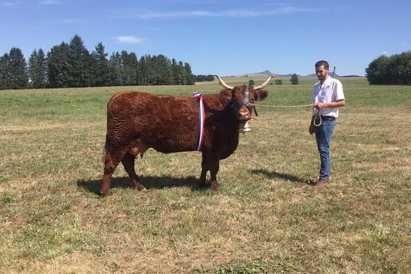 A 20 ans seulement, Martin Galvaing, agriculteur, se présente aux élections municipales de Saint-Etienne-de-Chomeil, dans le Cantal.