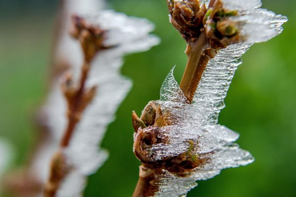 Des gelées nocturnes et matinales et de la neige vont faire leur retour, dimanche 18 mars, en Auvergne-Rhône-Alpes.