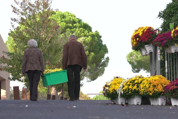 Montpellier - affluence record au cimetière Saint-Etienne pour la Toussaint - novembre 2024.