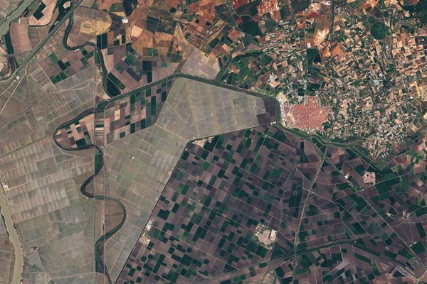 Sentinel-2 permet, entre autre de surveiller la santé des plantes et d'améliorer les méthodes agricoles.