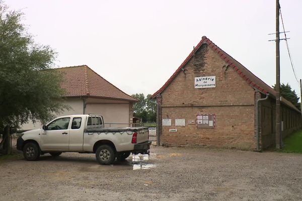 L'Asinerie du Marquenterre a brutalement perdu 200 de ses oiseaux, morts de la grippe aviaire ou abattus par précaution sanitaire.