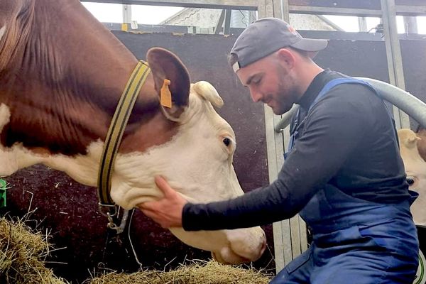 Adrien Blua et une de ses vaches laitières, Playa