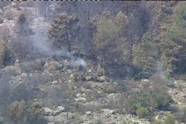 L'incendie de Venaco a parcouru 80 hectares de végétation