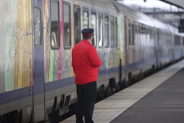 Plusieurs trains restent à quai à Mulhouse et Altkirch.