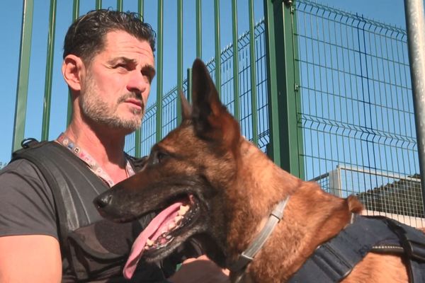 Canna, Malinois de huit ans, est un chien policier de Seine-Maritime capable de détecter cannabis, héroïne, cocaïne et billets de banque.