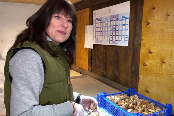 Corinne Grelaud , Cultivatrice "Les champignons de Gaudeix"