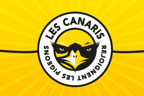 Les canaris-pigeons nantais