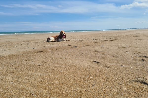 Il fait chaud dans les Hauts-de-France, Bradie à la plage