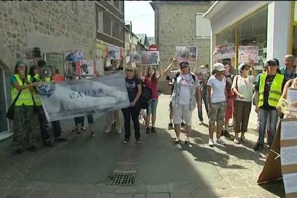 Les manifestants protestaient contre le spectacle de vachettes