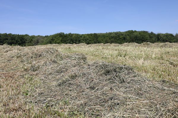 "Les sols étant secs sur une grande partie de la France, les campagnes d'irrigation ont commencé tôt cette année et devraient se poursuivre en mai" met en garde Violaine Bault, hydrogéologue au BRGM.