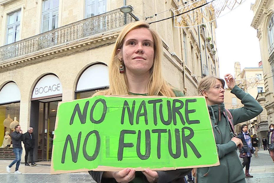 in Montpellier, associations for the defense of the environment denounce a summit “for nothing”